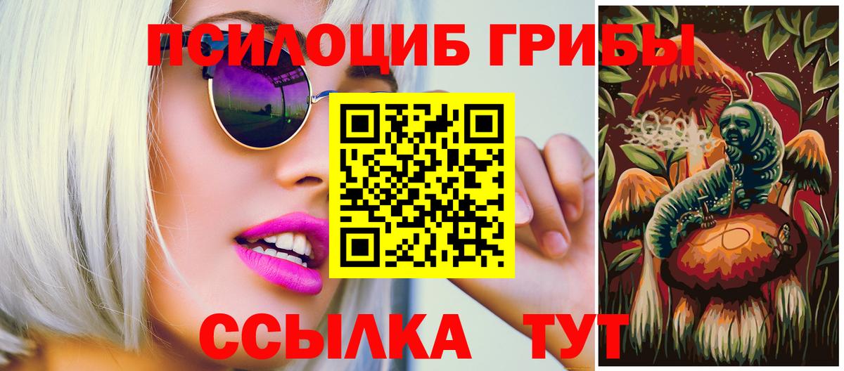 Галлюциногенные грибы MAGIC MUSHROOMS  Псилоцибиновые грибы Psilocybine cubensis  Вход с VPN  Камень-на-Оби 